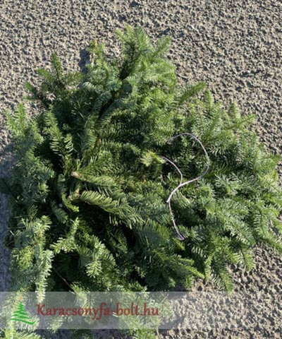 Nobilisz fenyőág bála